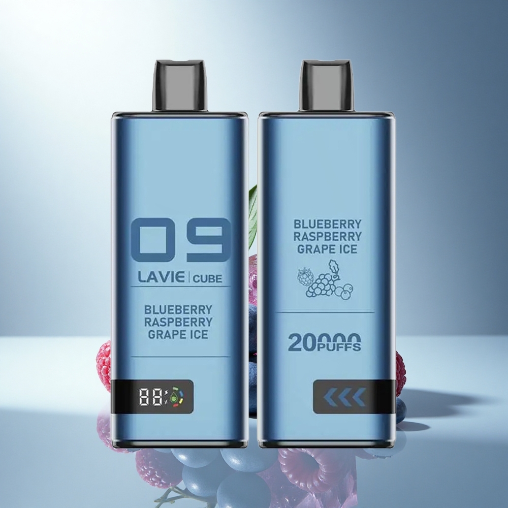 Lavie Cube 20000 Puffs Боровинка Малина Гроздов Лед 28ML 5% Type C